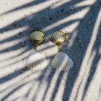 Lesen Palm And Sky Bewertungen